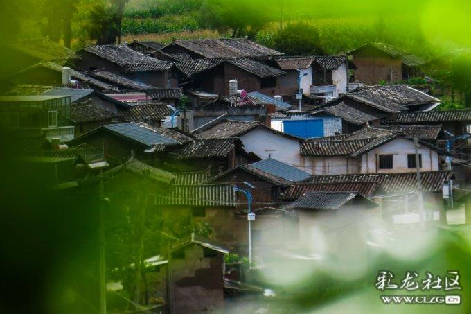 政和县被授予“中国高山蔬菜之乡”称号